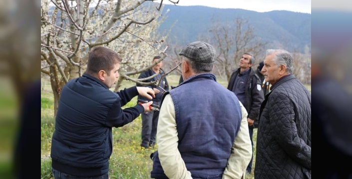 Bilecik'te üreticilere özel gübreleme ve budama kursu düzenlendi