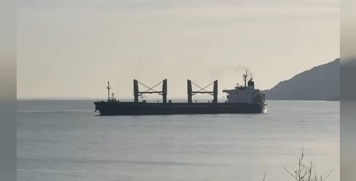 Çanakkale Boğazı'nda makina arızası yapan gemi karaya oturdu