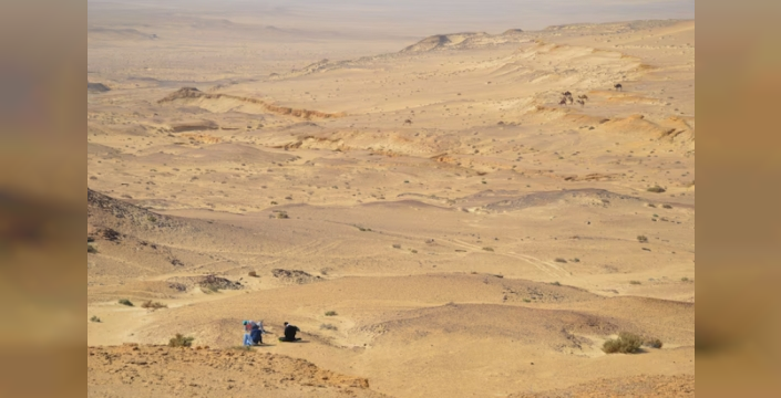 Evrim Teorilerini Sarsacak Keşif: Mısır'da 'Kuyruksuz Maymun' Fosili Bulundu!