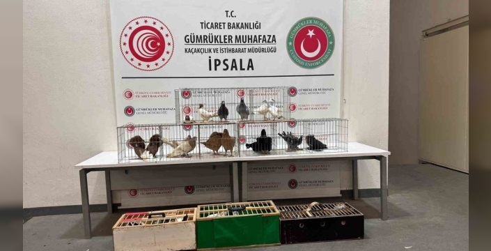 İpsala Sınır Kapısı'nda şok: Minibüsten kaçak hayvanlar çıktı!