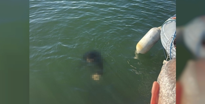 İzmir'de akülü tekerlekli sandalyesiyle denize düşen kişi hayatını kaybetti
