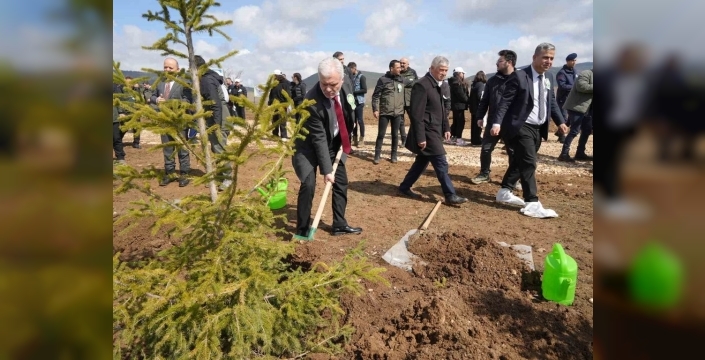 Kastamonu yeşile bürünüyor: 210 bin fidan toprakla buluşuyor!