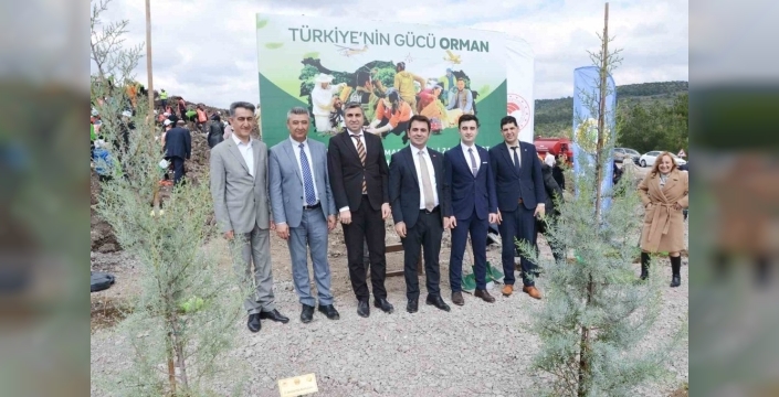 Manisa'da yanan alanlar yeniden yeşeriyor: 30 bin fidan toprakla buluştu