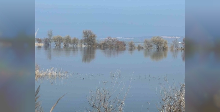 Süt inekçiliğiyle dört çocuğunu okuttu, şimdi yem fiyatları canını sıkıyor