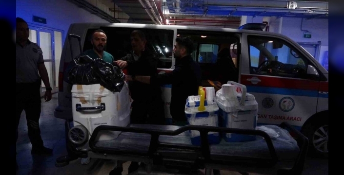 Taciz mağduru genç kızın organları 4 ayrı ile gönderildi
