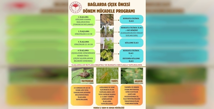 Üzüm bağları için kritik ilaçlama takvimi duyuruldu: Hastalık ve zararlılara karşı önlem zamanı