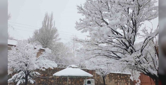 Başkale'yi beyaz bürüdü: 9 köy yolu ulaşıma kapandı!