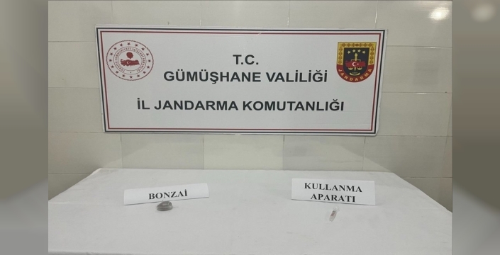 Gümüşhane'de nefes kesen operasyon: Bonzai ele geçirildi, 1 şüpheli yakalandı!