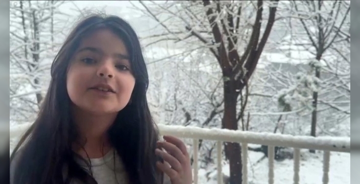 Hakkari'de lapa lapa kar hayatı etkiledi