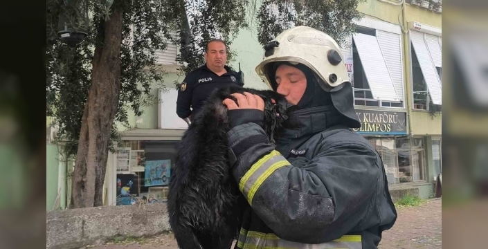 Kahraman itfaiyeci, yangından kurtardığı kediyi kalp masajıyla hayata döndürdü!