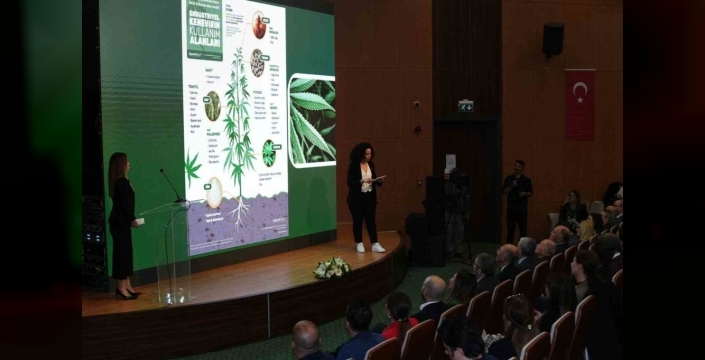Kenevirin gizli potansiyeli ortaya çıkıyor: Sanayiye dev adım!