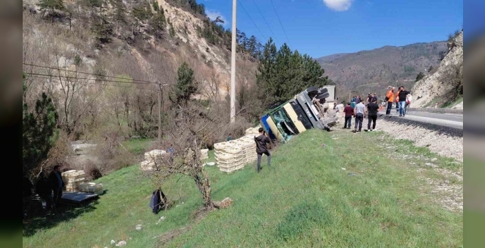 Mudurnu'da yürek burkan kaza: Kamyon devrildi, onlarca tavuk can verdi, sürücü sağ kurtuldu