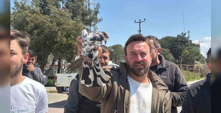 Mustafakemalpaşa semaları kuşlarla renklendi: Güvercinlerin muhteşem gösterisi