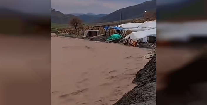 Siirt'te sağanak yağışlar hayvancılığı zor durumda bıraktı