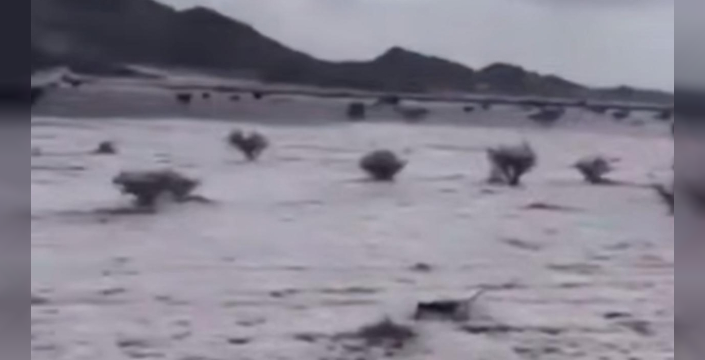 Suudi Arabistan'da şaşırtan manzara: Çöl beyaza büründü!