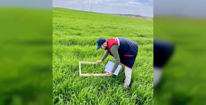 Afyonkarahisar'da tarım alanları zararlılara karşı mercek altında