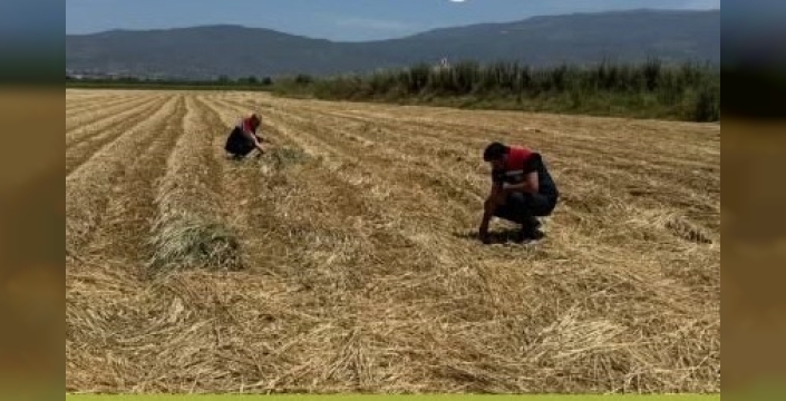 Aydın'da kuraklıkla mücadele için gözlem çalışmaları devam ediyor