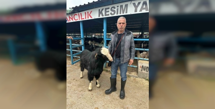 Bursa'da rekor fiyatla el değiştiren keçi: 47 bin liralık 'şampiyon