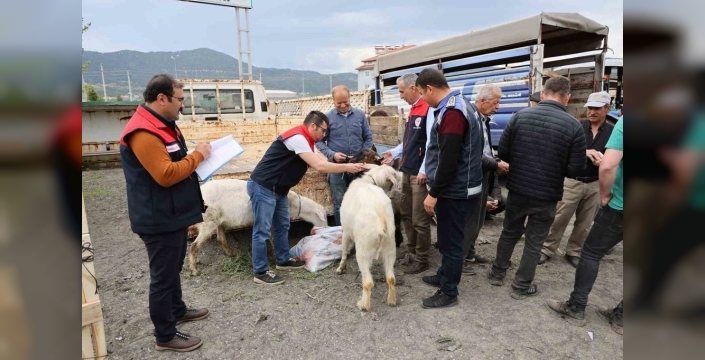 Çameli'de kurban pazarında bayram coşkusu ve sıkı denetim önlemleri devrede