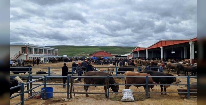 Erzurum'da kurban pazarı coşkulu bir şekilde açıldı