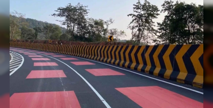 Hindistan'da trafikte kırmızı yol dönemi: Yaban hayatı için yenilikçi bir adım