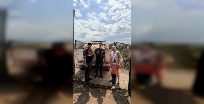 Kurban Bayramı öncesi çalınan koyunlar jandarma tarafından bulundu