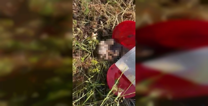 Şanlıurfa mezarlığında dehşet: 21 cenin bulundu
