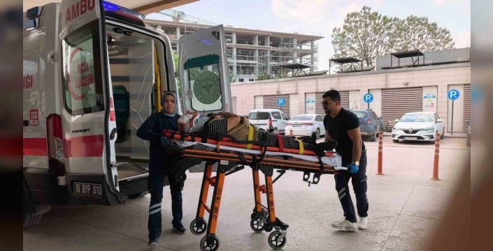 Servis aracı yaşlı yayaya çarptı: Yaralı hastaneye kaldırıldı
