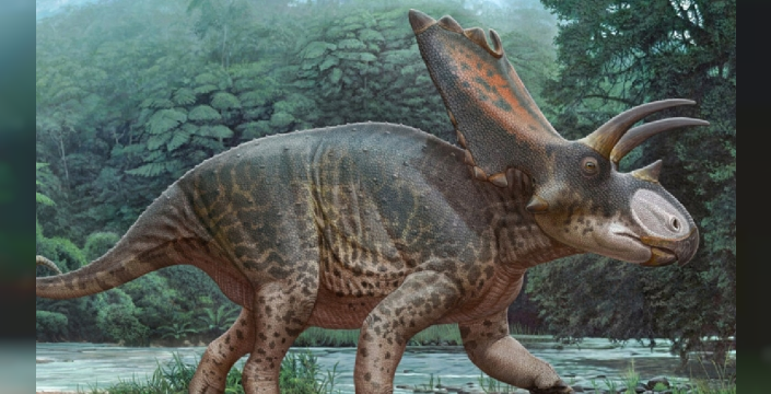 Tarihin en büyük dinozoru: 27 tonluk Nagatitan chaiyaphumensis keşfedildi