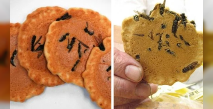 Yaban arılı kraker Japonya'da viral oldu: Sıra dışı lezzet denemek için insanlar akın ediyor