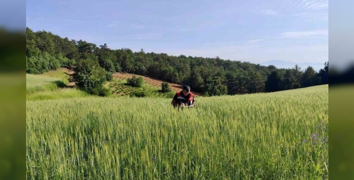 Afyonkarahisar'da tarımsal üretim için kontrol ve takip çalışmaları sürüyor
