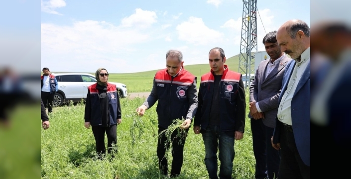 Akyaka'yı vuran dev dolu taneleri tarım arazilerini adeta harabeye çevirdi: Çiftçiler perişan!