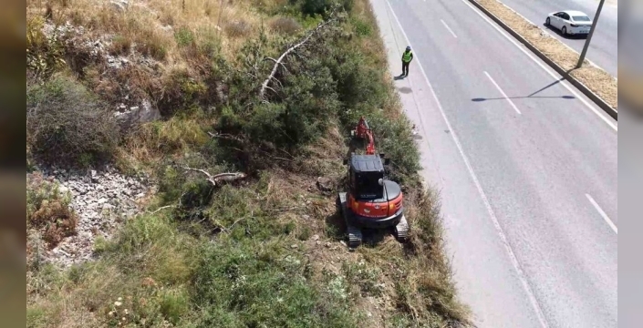 Aydın Orman İşletme, yangın riskini azaltmak için temizlik çalışmaları yapıyor