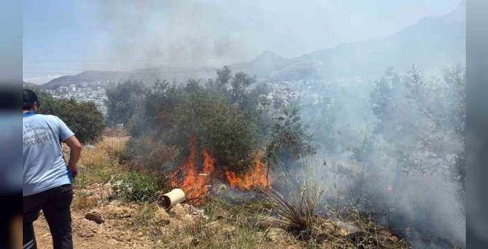 Bodrum'da yangın, hızlı müdahale ile büyümeden söndürüldü