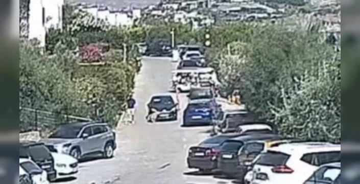 Bodrum'daki köpek davasında sanık beraat etti