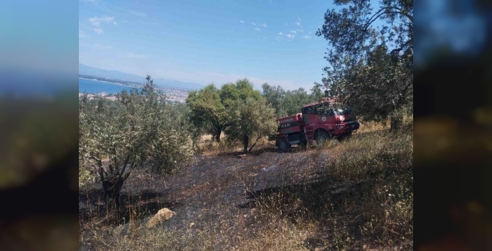 Burhaniye'de korkutan zeytinlik yangınına havadan ve karadan müdahale sürüyor