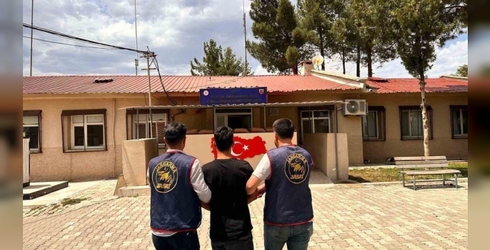 Diyarbakır'da 141 kişi yakalandı: Hapis cezası bekleyenler operasyonla ele geçirildi