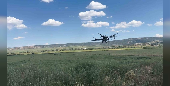 Ekinler ezilmekten kurtuldu: Tarlalar artık dronla ilaçlanıyor