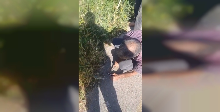 Elazığ'da tren çarpan ineği kurtarmak için zamanla yarıştılar