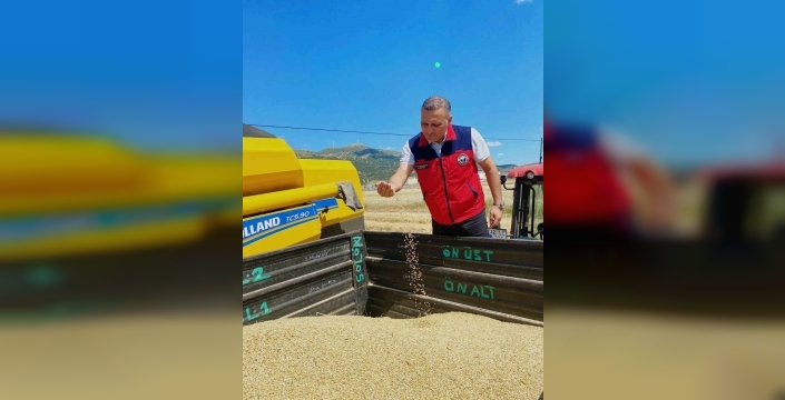 Hububat hasadı öncesi biçerdöverlere sıkı denetim: Dane kaybı önlenecek mi?