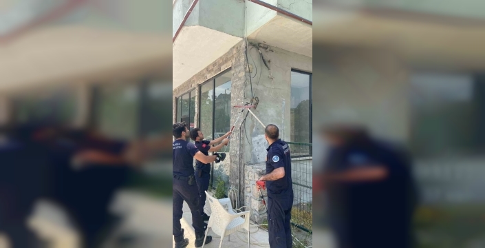 İş yerinde yılan paniği: İtfaiye seferber oldu