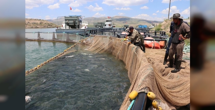 Kayseri, dünyaya somon ihraç ediyor: Rusya ve ABD'den büyük talep var