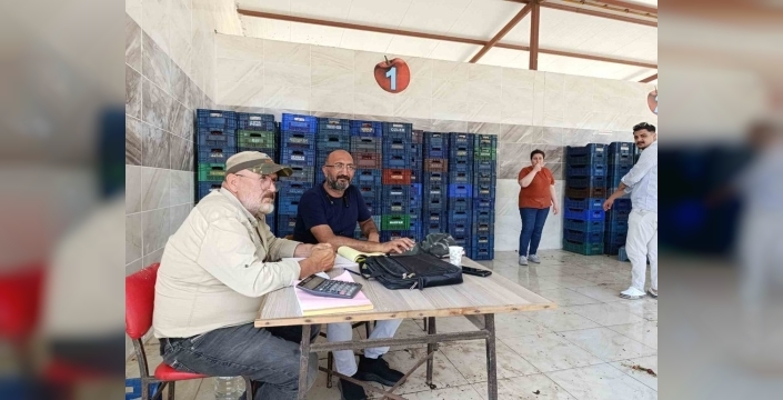 Kiraz fidanları, Selendi'yi Avrupa'nın gözdesi yaptı