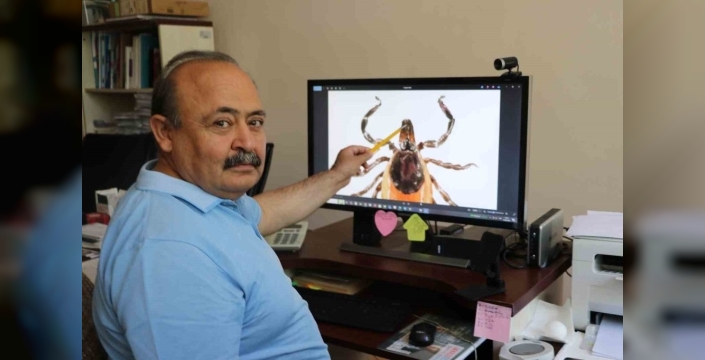 Kırım Kongo Kanamalı Ateşi ölümlerinde dikkat çeken bulgu: Kene izine rastlanmadı