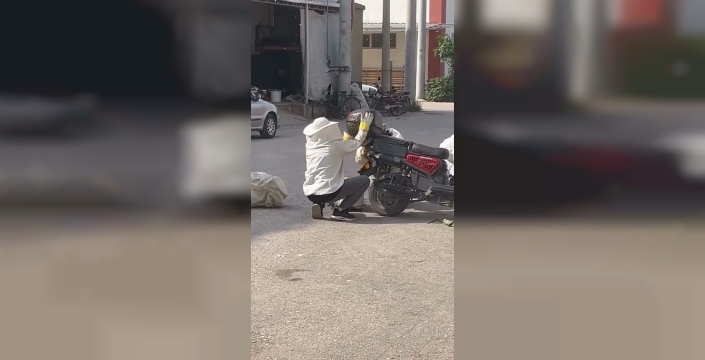 Motosikletin üzerinde arı sürprizi: Kraliçe arı peşindeki binlerce işçi, görenleri şaşırttı