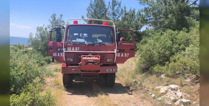 Muğla'da orman yangını, arı kovanlarının yanı başında büyümeden kontrol altına alındı