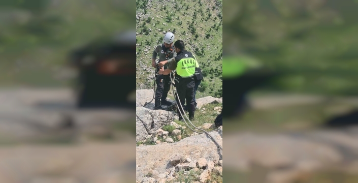 Sekiz günlük esaret bitti: Siirt'te dağ keçisi için nefes kesen kurtarma operasyonu
