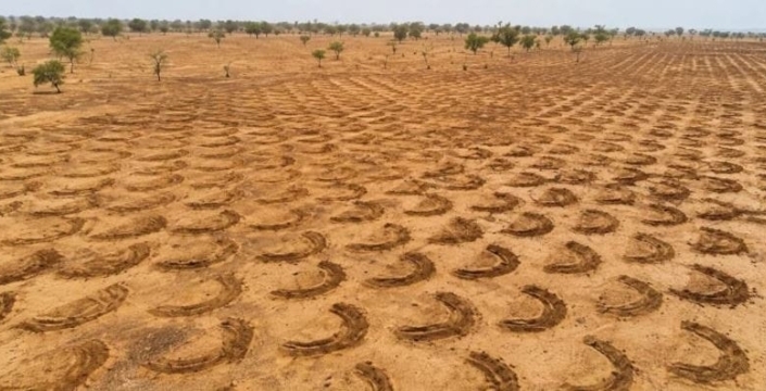 Senegal'de kuraklığın pençesindeki topraklar, eski yöntemlerle yeniden canlanıyor
