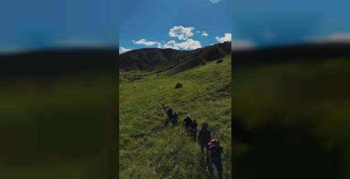 Tunceli'de mantar toplamaya gidenlere ayı saldırdı