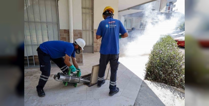 Antalya'da sinekle savaş: 19 ilçede büyük operasyon ve eğitim seferberliği!